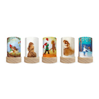 Toverlux Lantern Shades - Het Wol Feetje Celebrations - Pack of 5 | Toy | Toverlux | Little Acorn to Mighty Oaks