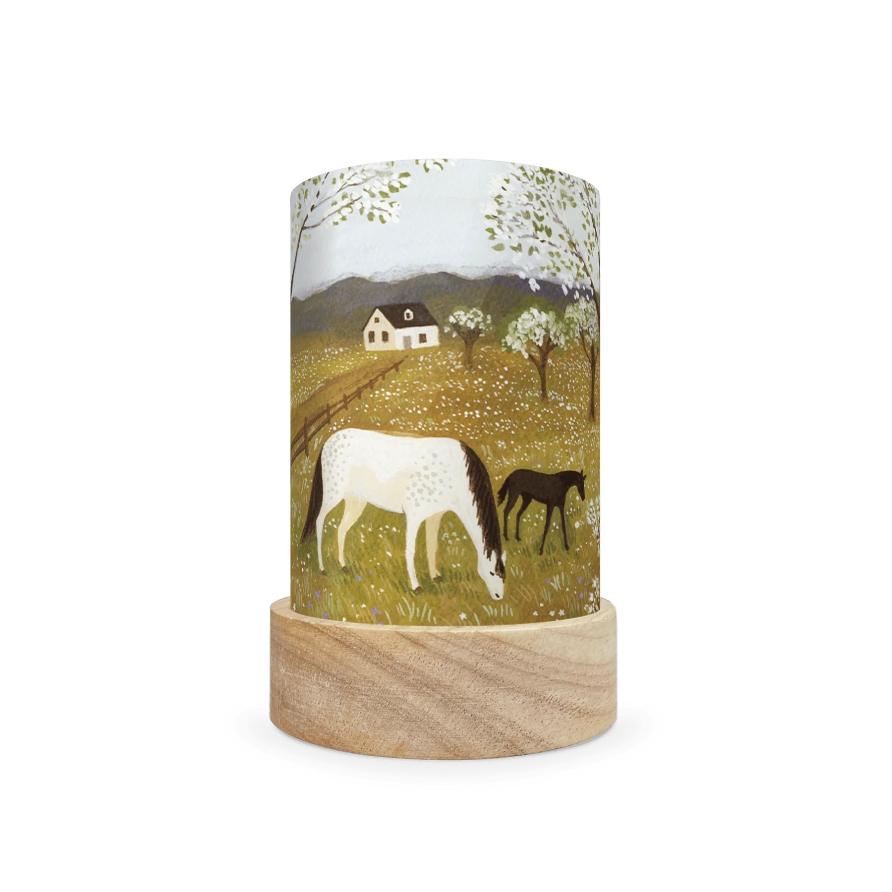 Toverlux Lantern Shades - Robin Pieterse - Pack of 5 | Toy | Toverlux | Little Acorn to Mighty Oaks