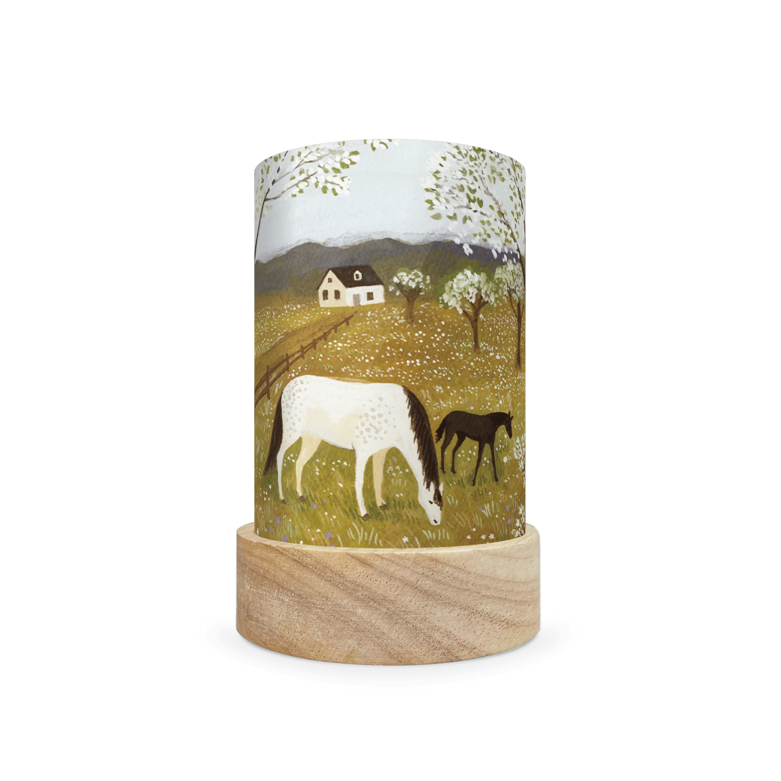 Toverlux Lantern Shades - Robin Pieterse - Pack of 5 | Toy | Toverlux | Little Acorn to Mighty Oaks