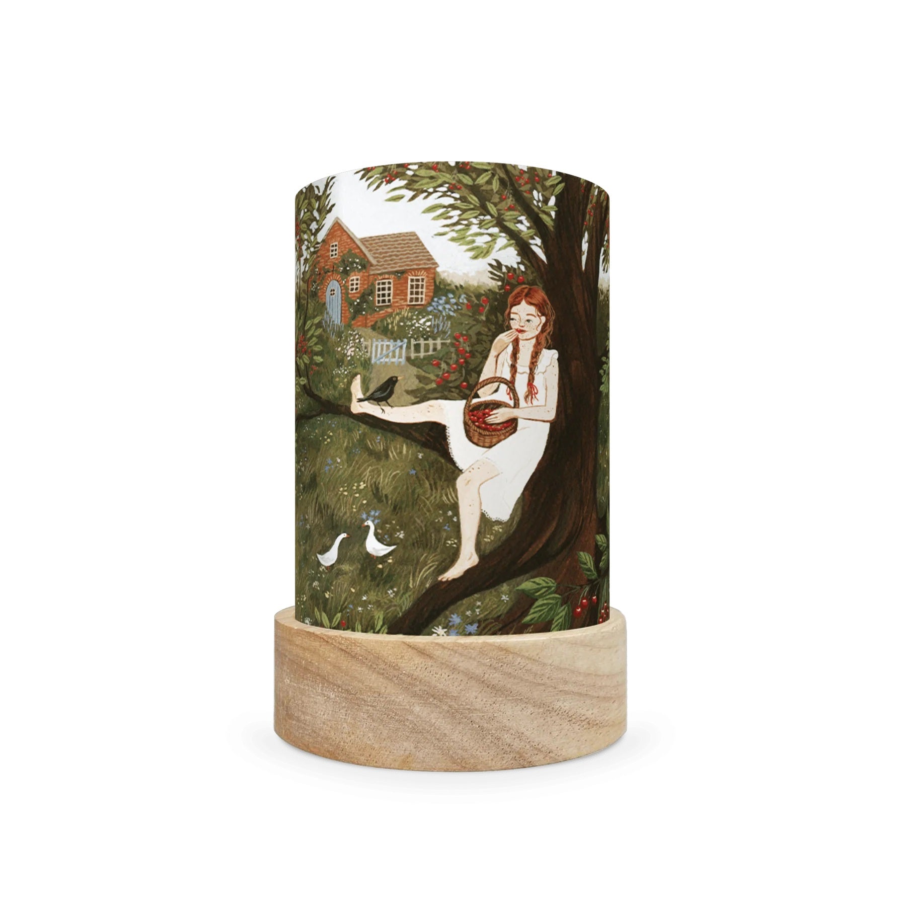 Toverlux Lantern Shades - Robin Pieterse - Pack of 5 | Toy | Toverlux | Little Acorn to Mighty Oaks