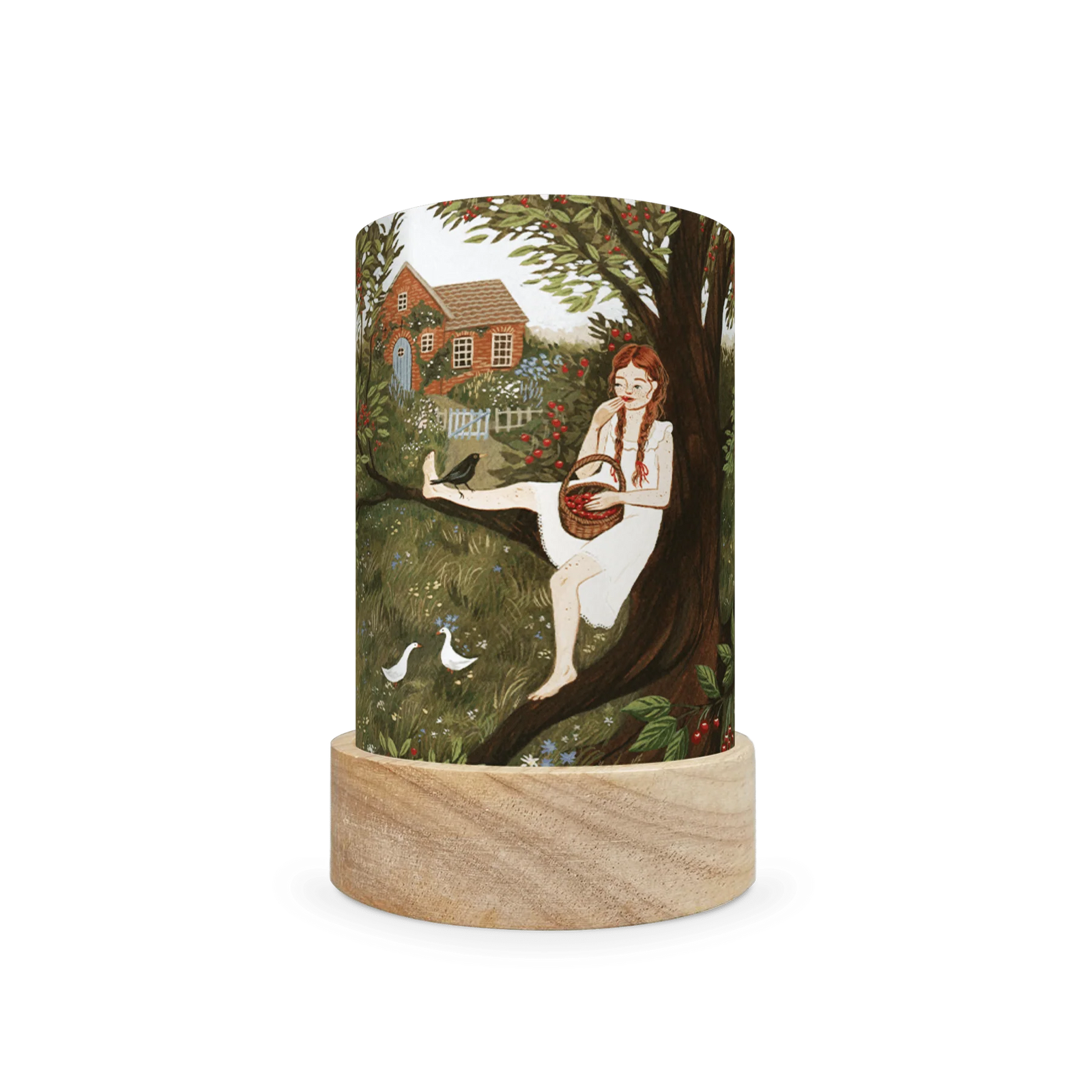 Toverlux Lantern Shades - Robin Pieterse - Pack of 5 | Toy | Toverlux | Little Acorn to Mighty Oaks