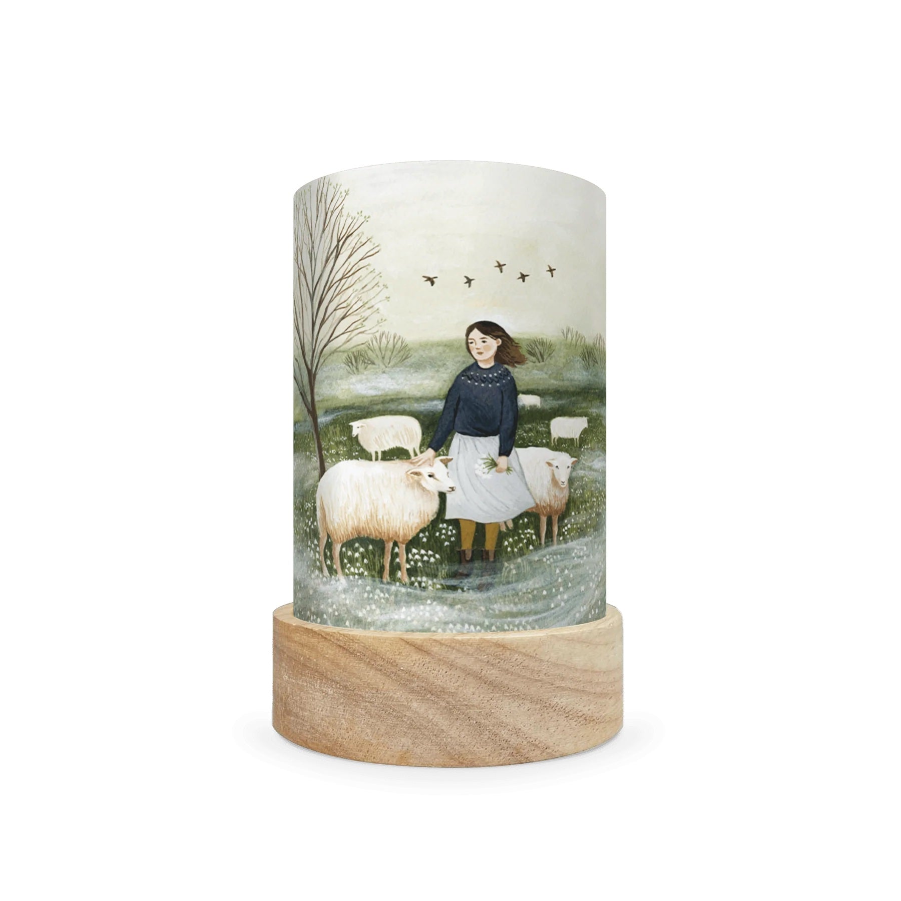 Toverlux Lantern Shades - Robin Pieterse - Pack of 5 | Toy | Toverlux | Little Acorn to Mighty Oaks