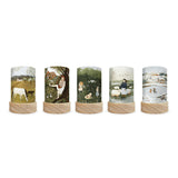 Toverlux Lantern Shades - Robin Pieterse - Pack of 5 | Toy | Toverlux | Little Acorn to Mighty Oaks