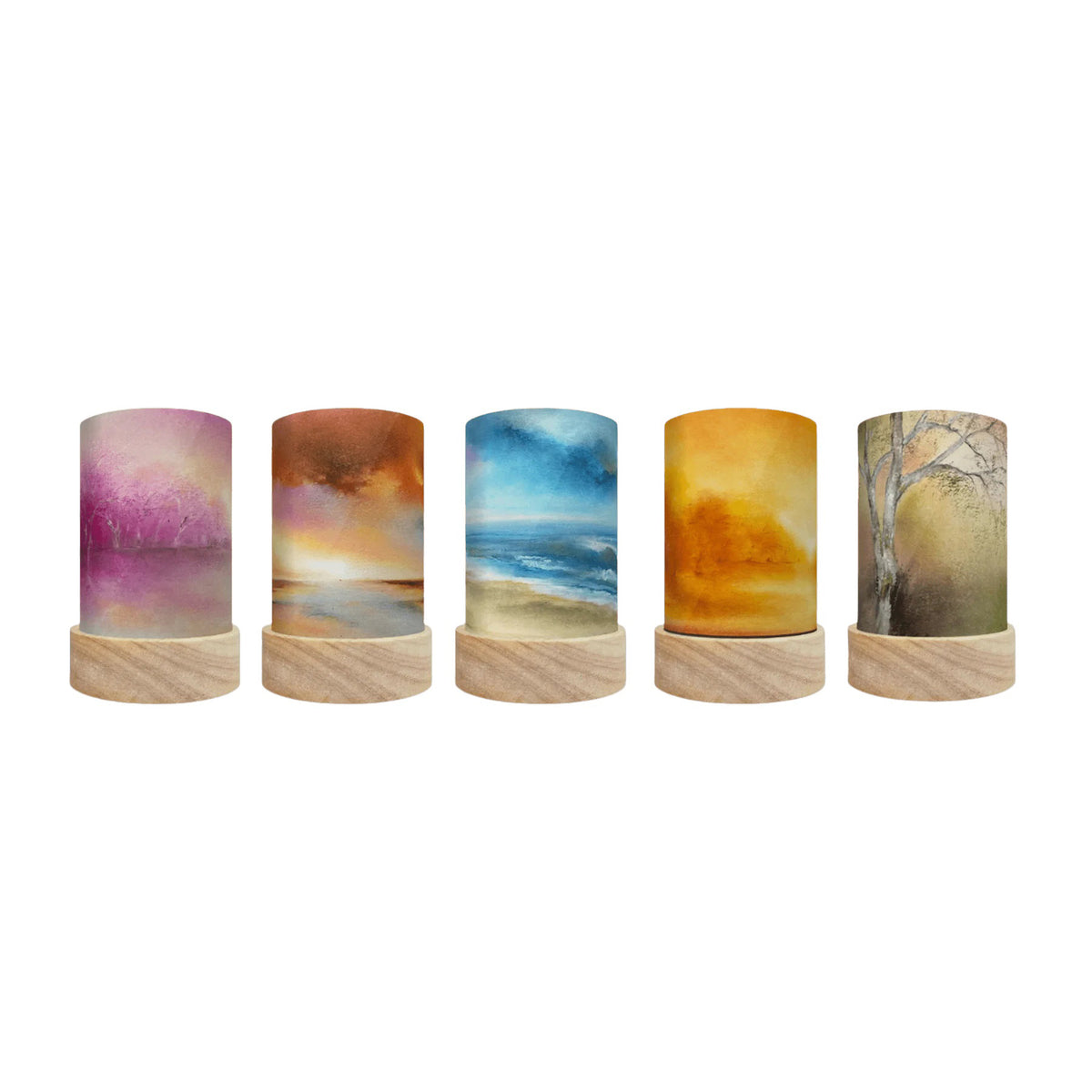 Toverlux Lantern Shades - Baukje Exler Nature Tales - Pack of 5 | Toy | Toverlux | Little Acorn to Mighty Oaks