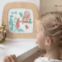 Daniela Drescher - Toverlux Colouring Silhouettes | Toy | Toverlux | Little Acorn to Mighty Oaks