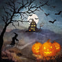 Vogel Geluk - Halloween Toverlux Silhouette | Toy | Toverlux | Little Acorn to Mighty Oaks