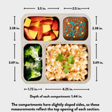 PlanetBox Voyager Leakproof Lunch Box - For age 8yrs+ | | PlanetBox | Little Acorn to Mighty Oaks