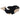 Holztiger Orca | | Holztiger | Little Acorn to Mighty Oaks