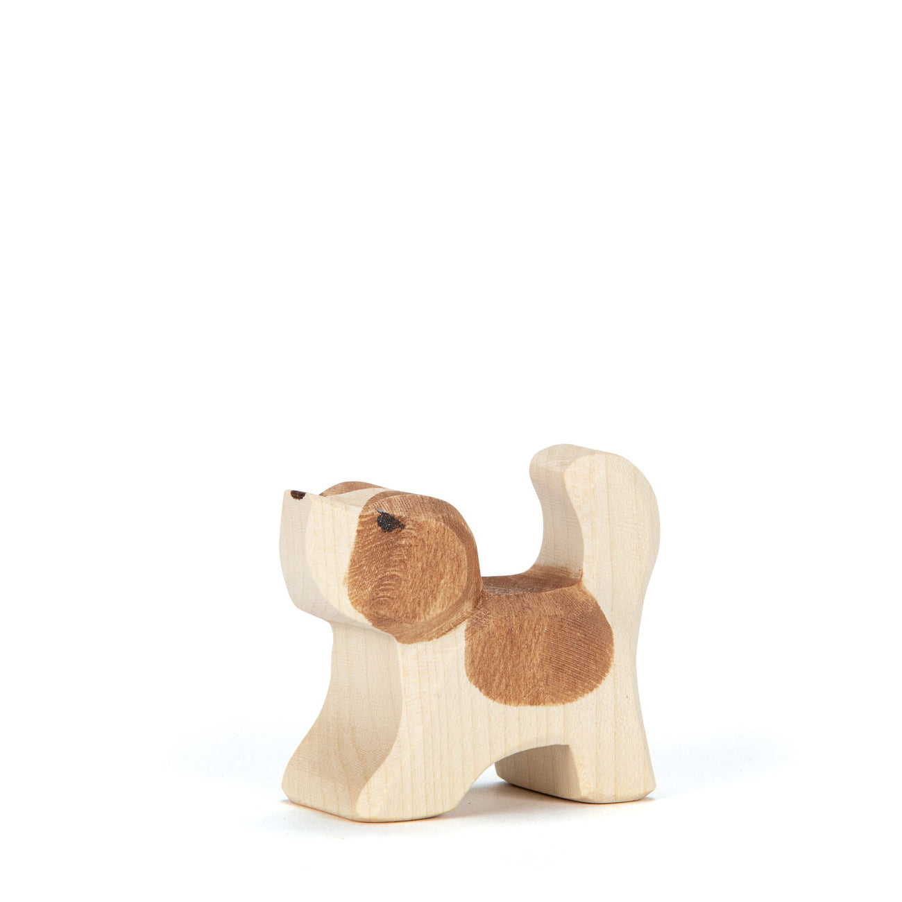 Ostheimer Small St. Bernhard with Head High | | Ostheimer | Little Acorn to Mighty Oaks
