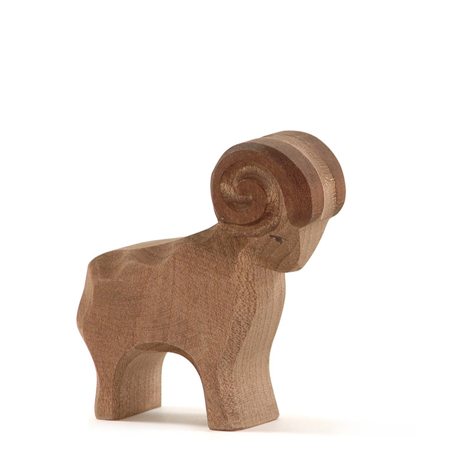 Ostheimer Brown Ram | | Ostheimer | Little Acorn to Mighty Oaks