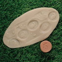 Yellow Door Let’s Roll – Forest Friends Stone Rollers | | Yellow Door | Little Acorn to Mighty Oaks