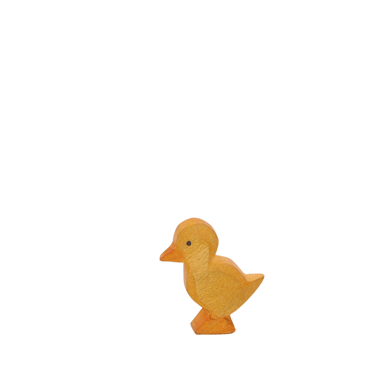 Ostheimer Duckling | | Ostheimer | Little Acorn to Mighty Oaks