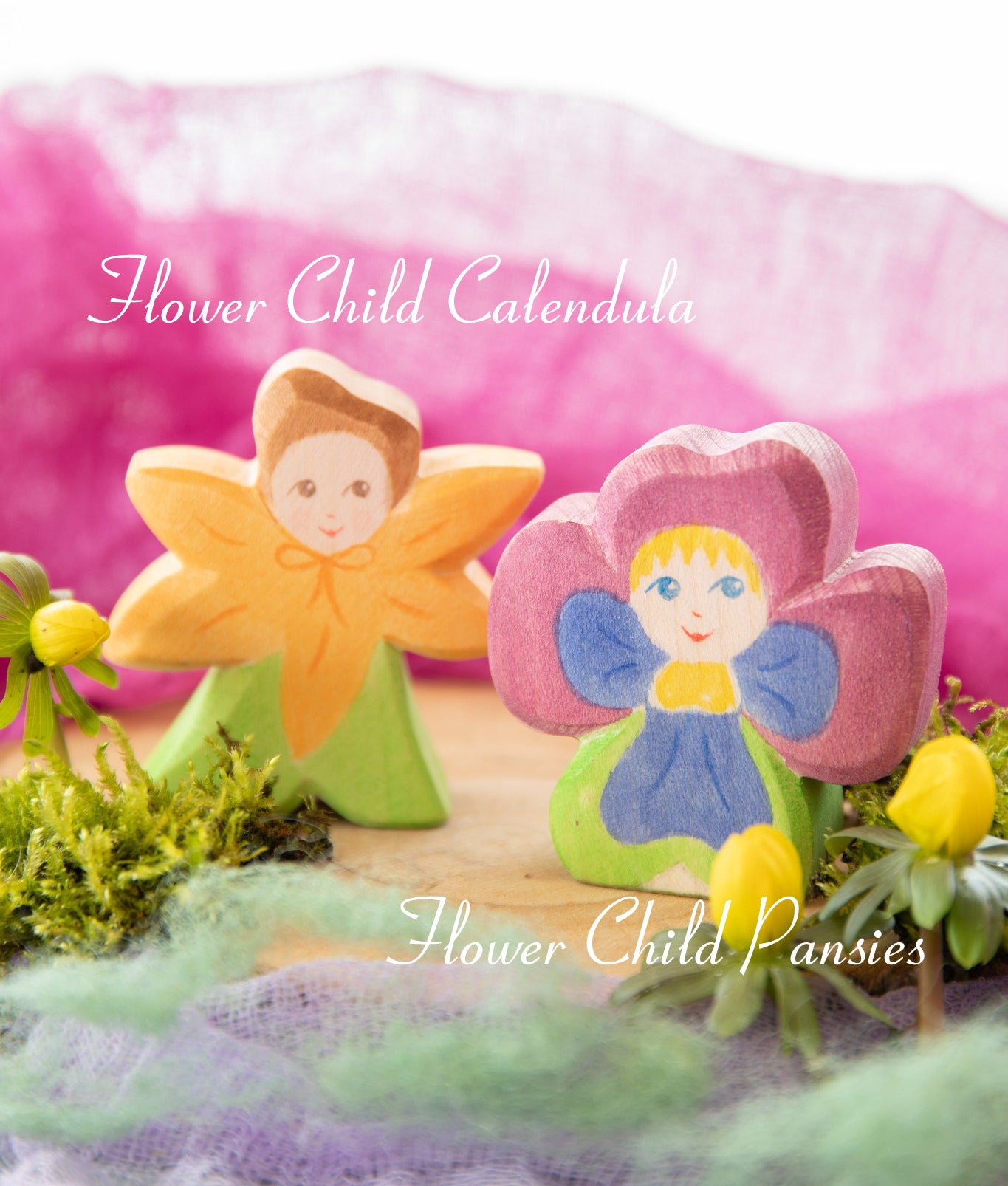 Ostheimer Flower Child Calendula - COMING APRIL 2025 | | Ostheimer | Little Acorn to Mighty Oaks