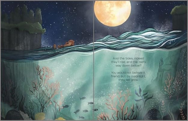 Full Moon Fairy: Faye & Friends: Book 1 | | Full Moon Fairy | Little Acorn to Mighty Oaks