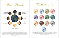 Full Moon Fairy: Under the Hunters Moon (October) | | Full Moon Fairy | Little Acorn to Mighty Oaks