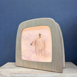 StoryLux - Griswald the Garden Gnome - 6 Toverlux Silhouettes | Toy | Toverlux | Little Acorn to Mighty Oaks