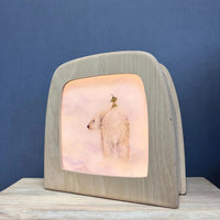 StoryLux - Griswald the Garden Gnome - 6 Toverlux Silhouettes | Toy | Toverlux | Little Acorn to Mighty Oaks
