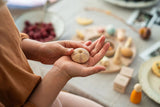 Grapat - Wonders | | Grapat | Little Acorn to Mighty Oaks