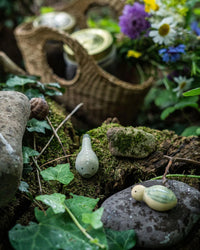 Grapat - Wild | | Grapat | Little Acorn to Mighty Oaks