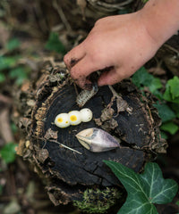 Grapat - Wild | | Grapat | Little Acorn to Mighty Oaks