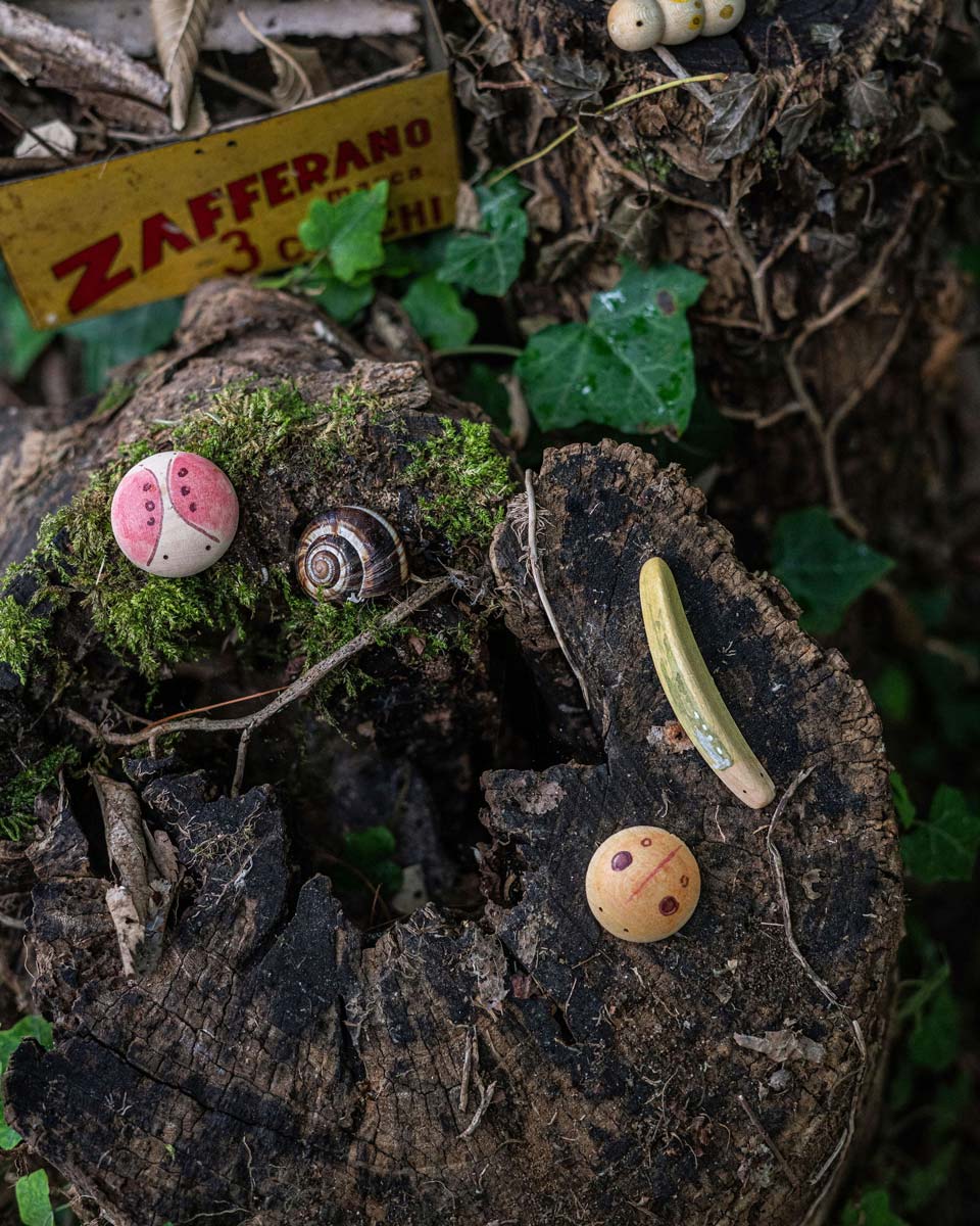 Grapat - Wild | | Grapat | Little Acorn to Mighty Oaks