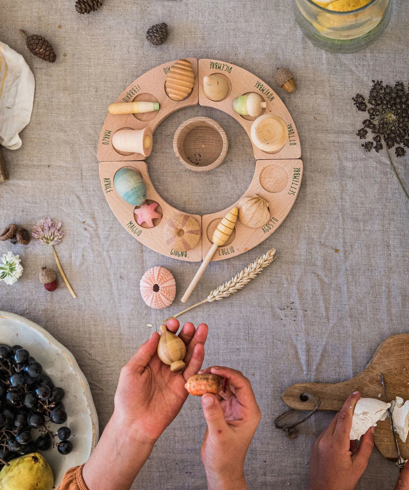 Grapat - Wonders | | Grapat | Little Acorn to Mighty Oaks