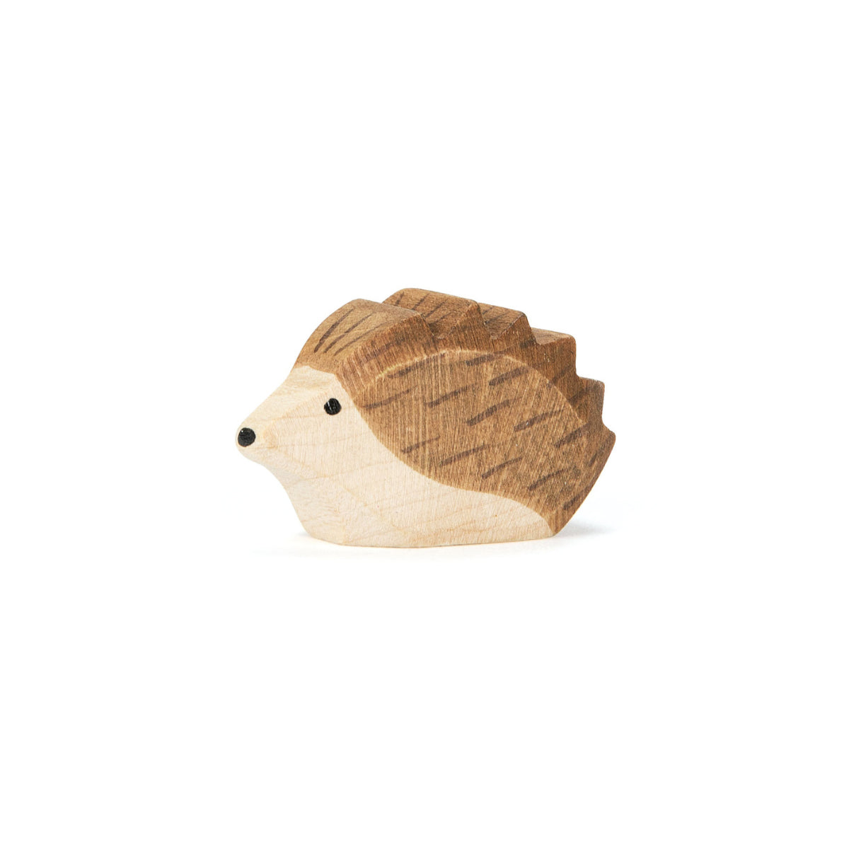 Ostheimer Hedgehog - small | | Ostheimer | Little Acorn to Mighty Oaks