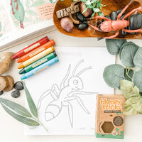 Honeysticks Beeswax Crayons - 8 Pack - Stage 3 Crayons | | Honeysticks | Little Acorn to Mighty Oaks
