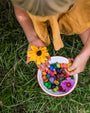 Grapat Mandala Rainbow Mushrooms | | Grapat | Little Acorn to Mighty Oaks