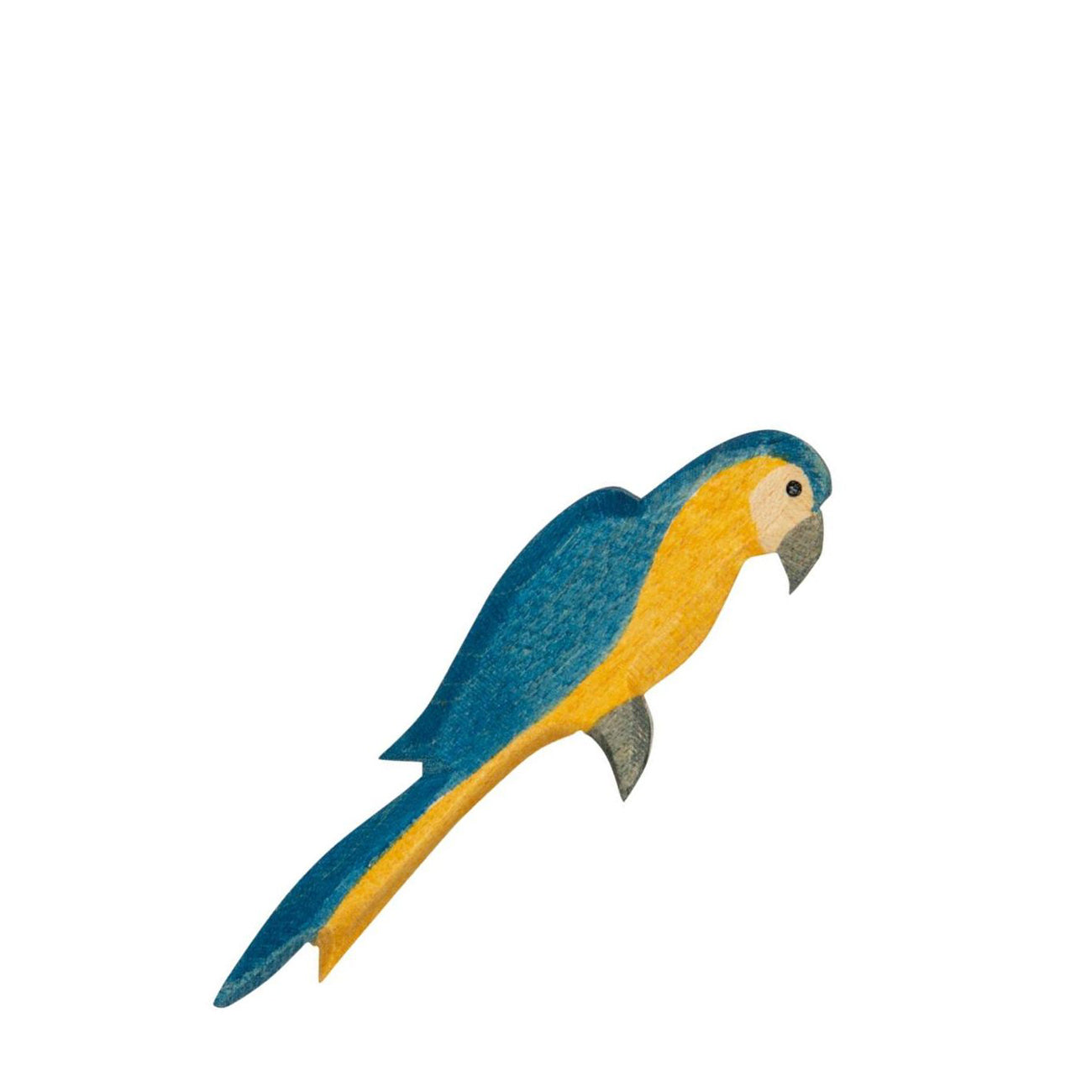 Ostheimer Blue Parrot | | Ostheimer | Little Acorn to Mighty Oaks