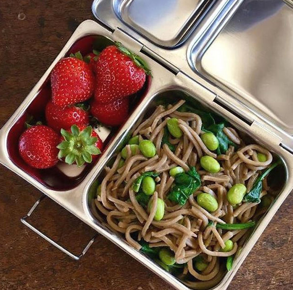 PlanetBox Stainless Steel Shuttle Lunchbox | | PlanetBox | Little Acorn to Mighty Oaks