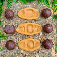 Yellow Door Roll Around – Wild Animals | | Yellow Door | Little Acorn to Mighty Oaks